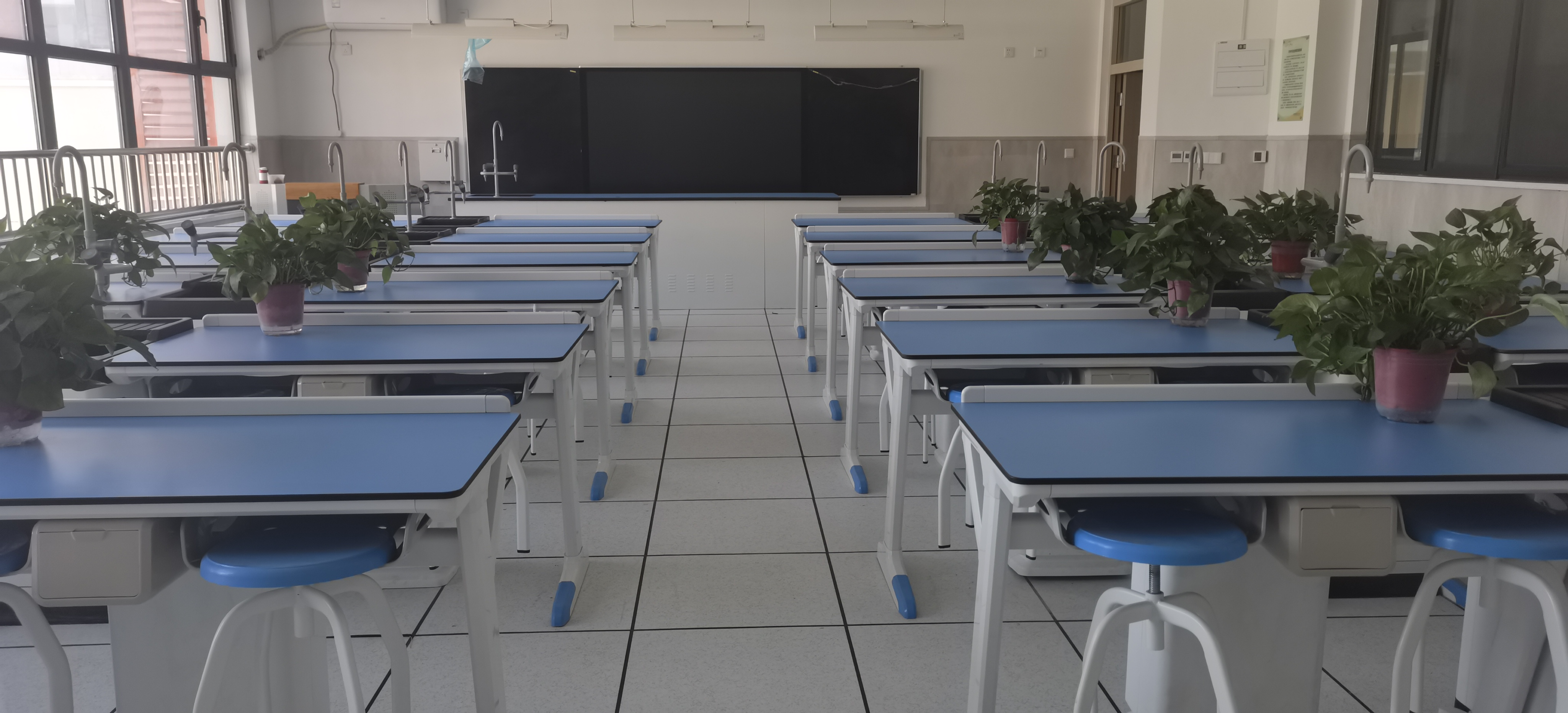 ��ѧ����